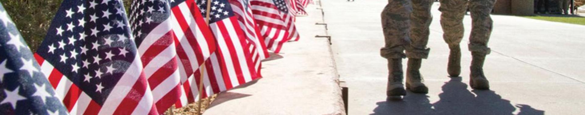 U.S. flags lining ASU's Hayden Lawn path.